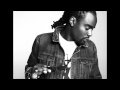 Wale Bait Audio mp3
