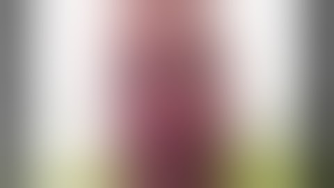 🤡 🇺🇦 Шпак. Запорожье. Разоблачение Лжи 28.09.2023