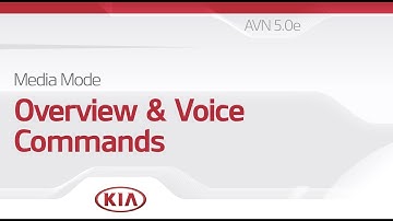 Media Mode: Overview and Voice Commands