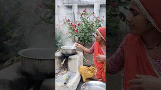 Download Lagu Making Rajasthani desi fenugreek aalni and baati #rajashtni #food #rajasthani #recipe #rajsthani #vlog MP3