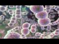 Streptococcus pneumoniae hybrid medical animation