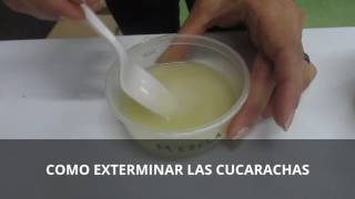 COMO ELIMINAR LAS CUCARACHAS DE TU HOGAR