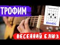 Трофим Весенний Блюз аккорды 🎸 кавер на гитаре как играть | pro-gitaru.ru