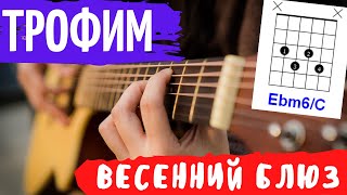 Трофим Весенний Блюз аккорды 🎸 кавер на гитаре как играть | pro-gitaru.ru