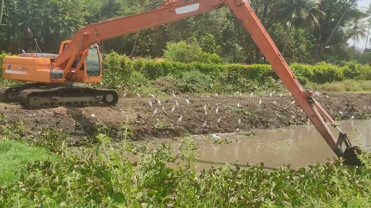 Removing Water plants / Water Canal Cleaning