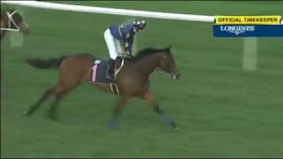 [Focus] Singapore 20171119 Race 3; LIM'S ROYAL is improving and no problem for 1600M