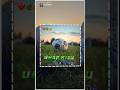 Football Lovers 😍🏆⚽🌿#football #footballlover #shortsfootball #santali_status_video #viral #status