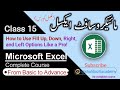 Class 15 | How to Use Basic Fill Function in Microsoft Excel | Ms Excel 2016 Complete Course