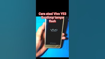 vivo y53 Bootloop tampa flash