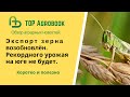 Экспорт зерна возобновлён. Рекордного урожая на Юге не будет. TOP Agrobook: обзор аграрных новостей