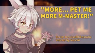 Spoiling Your Bunny Butler With Pets... And Sweet Kisses [ASMR] [M4A] [Spicy] [Innuendo] [Begging]