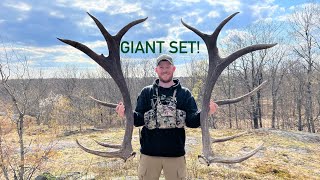 Elk Shed Hunting 2023 - Massive Browns!
