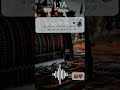 رغم كلشي وما جرحتك حالات واتس اب