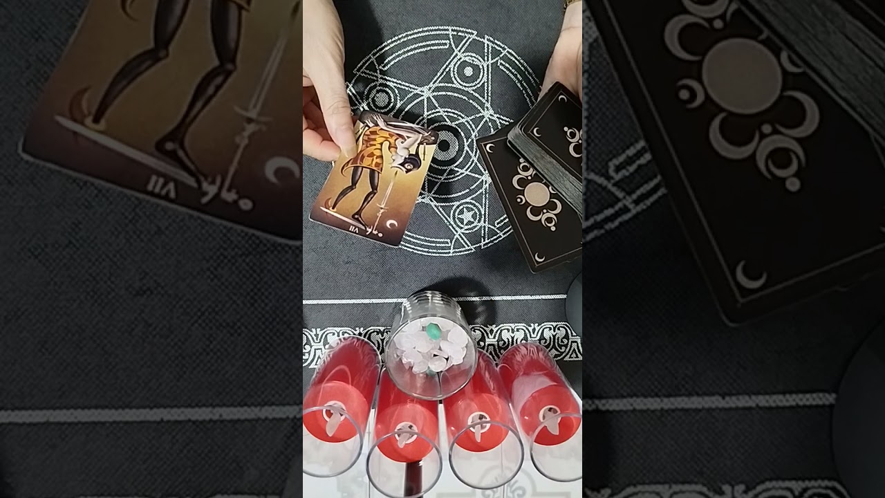 Cuộc sống của họ và bạn giờ ra sao. Minh Phương tarot Zalo 097 659 8884. Em gái miền Tây