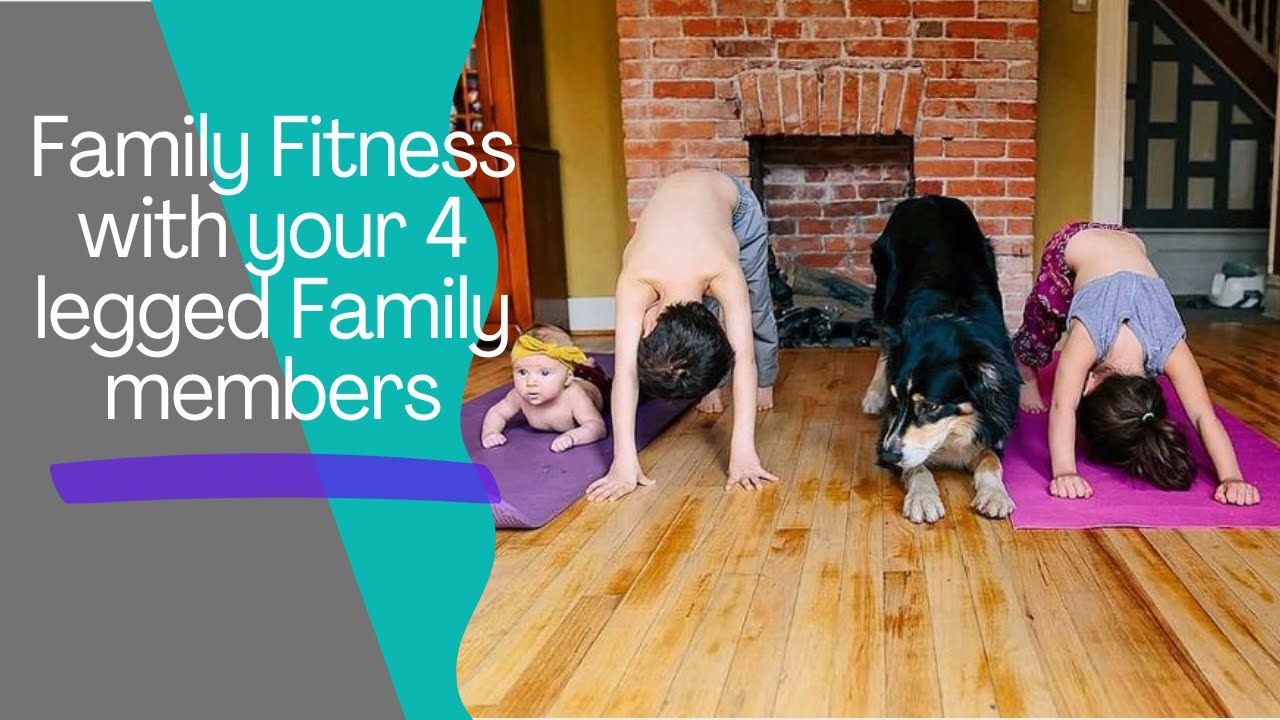 Furry Family Fun  Activities with Your Pets