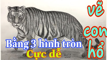 Cách vẽ con hổ cực dễ - How to draw a Tiger?