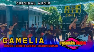 Camelia Cover Dasmara Musik Auodio Bawaan Hp