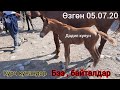 Курч КУНАН жана БЭЭ БАЙТАЛДАР БАЗАРДА ТОЛО🐎 БААРЫН БААСЫН БИЛДИК Өзгөн 05.07.20