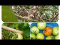 কত বড় একটা এক্সিডেন্ট থেকে বেঁচে গেলাম আল্লাহ!#funny #minivlog #nature #unfrez