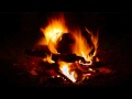 焚き火と小鳥と虫の音/癒し系作業用BGM/勉強用BGM/環境音/Bonfire