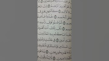 سورة الدخان من آية 40_50
