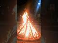 Holika Dahan 🔥 | Korean in India🇮🇳 #holikadahan#holi#koreaninindia#india#shorts