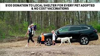 W&L Subaru Loves Pets Month - October 2024 | W&L Subaru