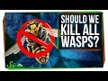 What If We Killed All the Wasps?