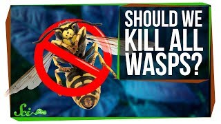 What If We Killed All the Wasps?