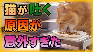 猫が吐く原因を突き止めて対策しました