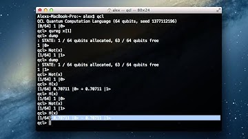 Quantum Programming Tutorial #2: Basic Qubit Operations