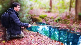 Fishing a Tiny Stream in an Abandoned Garden