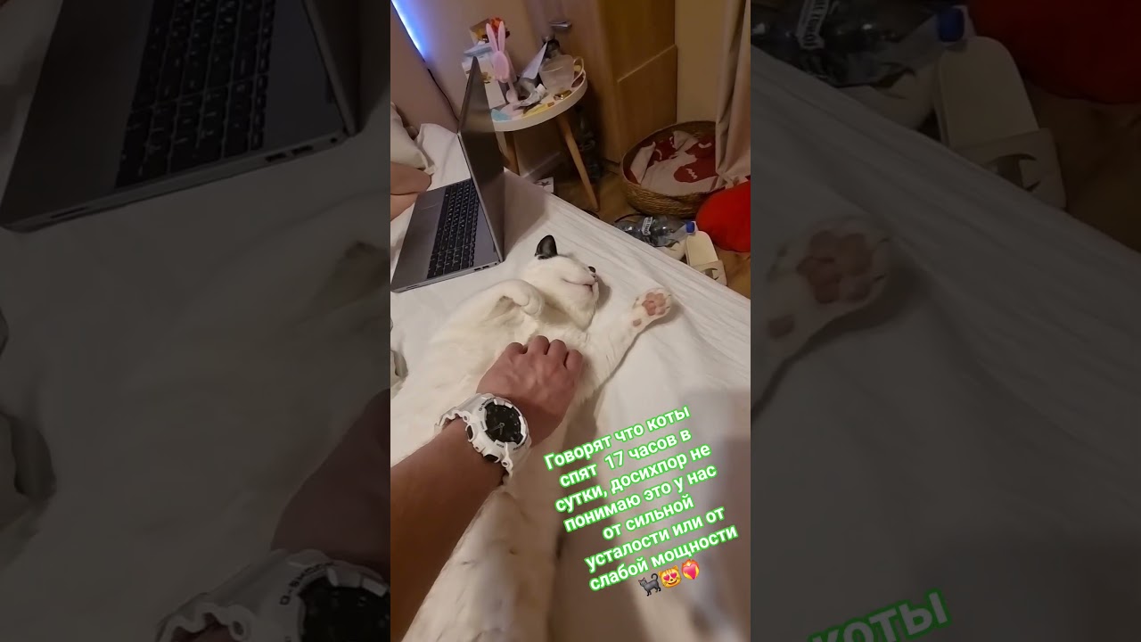 Стэтхэм о сне🐈‍⬛😻❤️‍🔥 