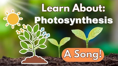 Photosynthesis for Kids! Educational Science Video | Songs for Learning