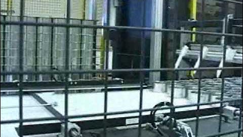 AMI Magnetic Gantry Can Palletizer