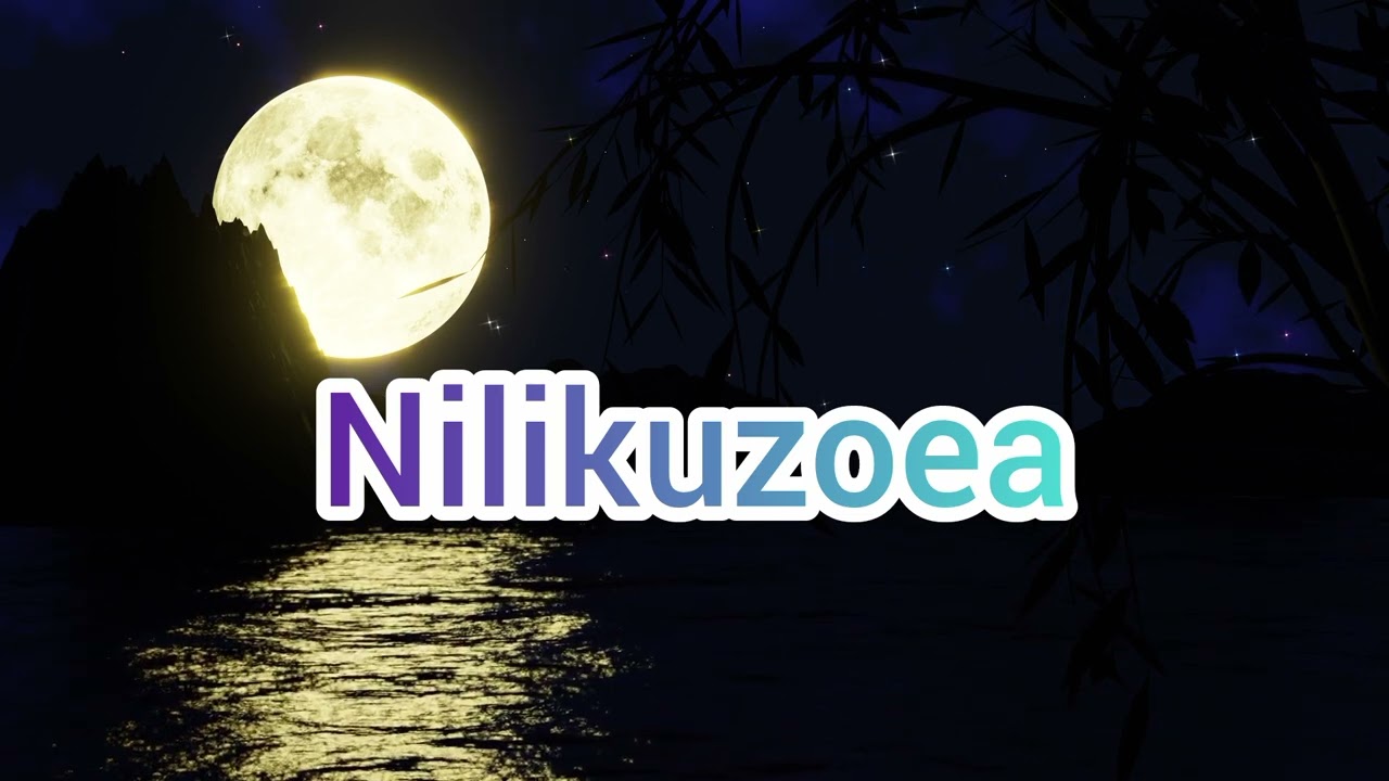 NILIKUZOEA OFFICIAL AUDIO(TILLYOULOVETHIS)