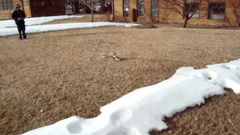 Blade 400 1st Flight: CRASH