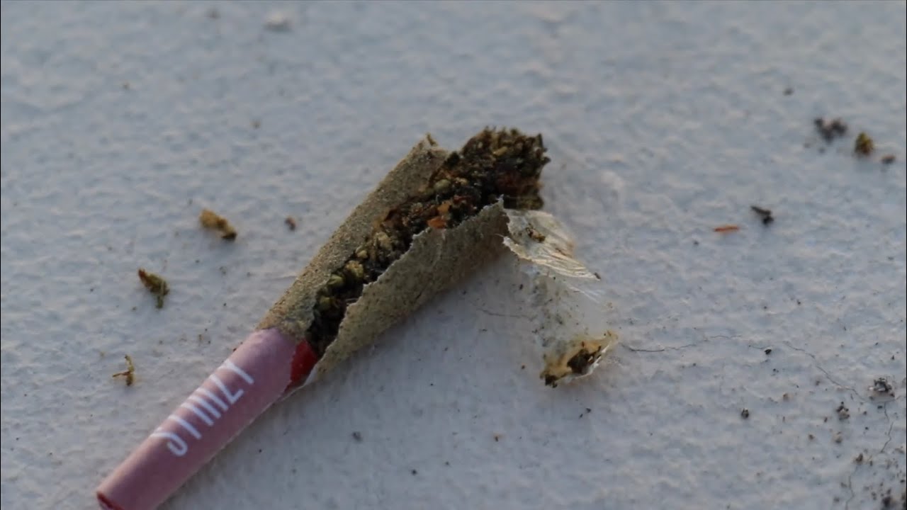 Opening Up A Stiiizy Joint To See What’s Inside