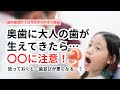 お子さんの奥歯に大人の歯が生えてきたら…●●に注意！