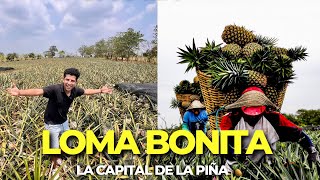 LOMA BONITA , OAXACA  La CAPITAL de la PIÑA | Así es el SOTAVENTO