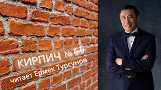 Книга "Кирпич" / Ермек Турсунов / Кирпич 55