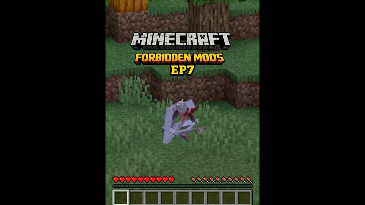 Don’t look at Shy Guy 