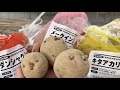 【じゃがいも栽培】肝心な浴光育芽（芽出し）で収穫量を増やす方法（植える時期〜種類の特徴〜種芋保存方法）
