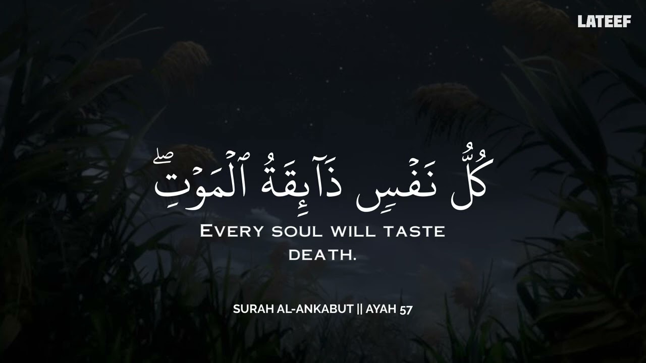 ساعة كاملة🕛🎧 | تلاوة القران بصوت محمد هشام للدراسة والتركيز 📚 | راحة نفسية😌 | Mohamed Hesham