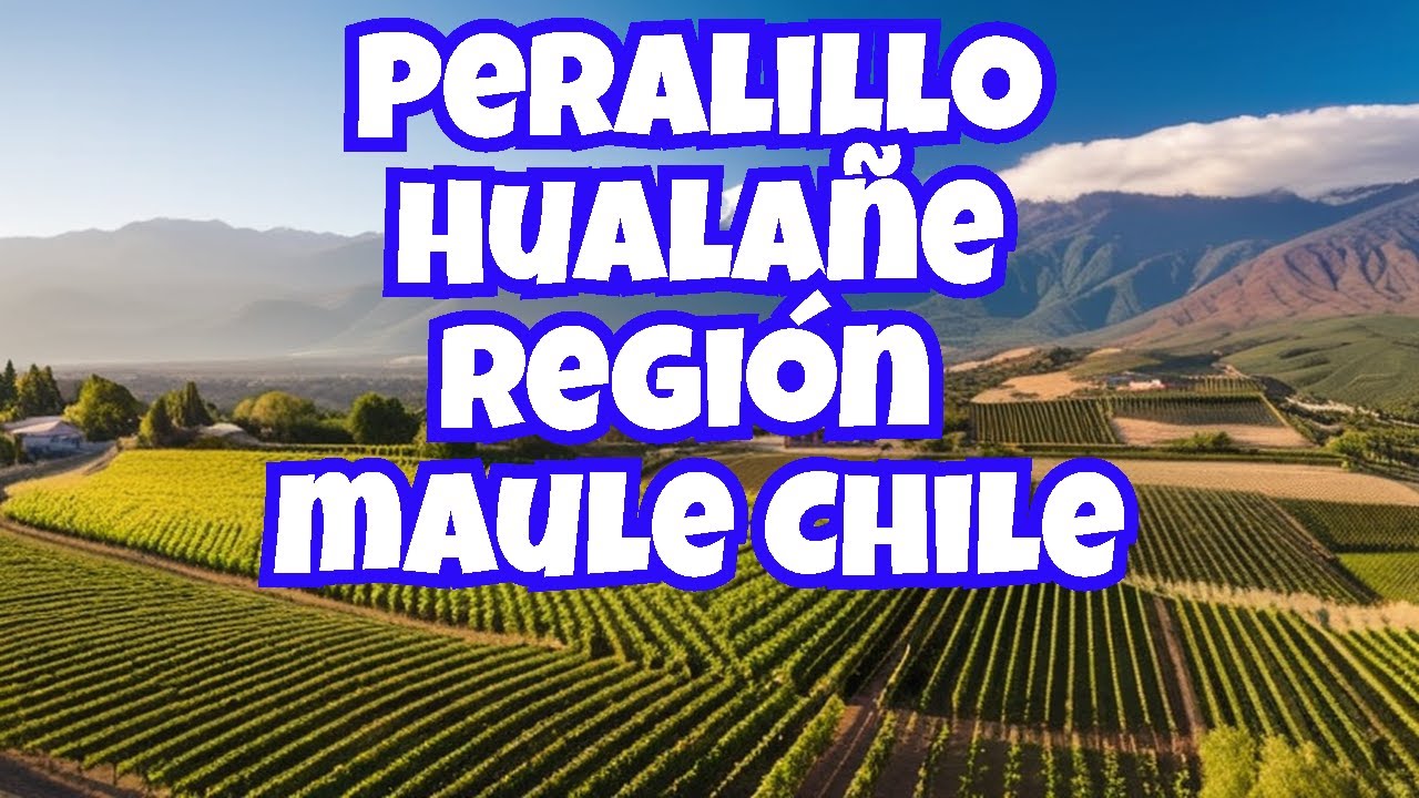 PERALILLO: Hualañe región del maule Chile. @naturaleza7audolina