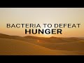 ICGEB The Goals of Science - Ep.6 Bacteria to defeat hunger