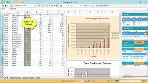 Point and Click-redact in Exolution - Native Excel File Redaction Software