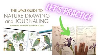Let's Practice from The Laws Guide to Nature Drawing and Journaling: Round Two