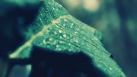 4K NFT CINEMATIC MONTAGE