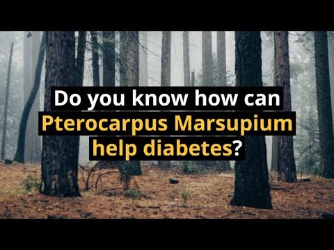 Do you know how can Pterocarpus Marsupium help diabetes?